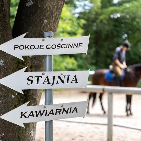Pokoje Goscinne Cheval كراكوفيا المظهر الخارجي الصورة