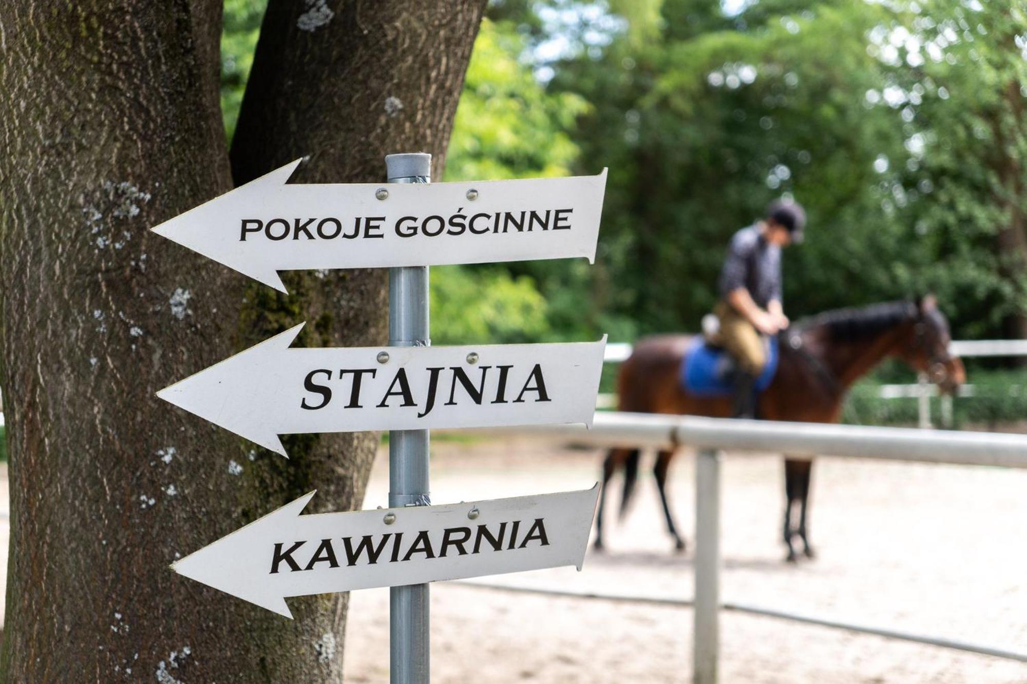 Pokoje Goscinne Cheval كراكوفيا المظهر الخارجي الصورة